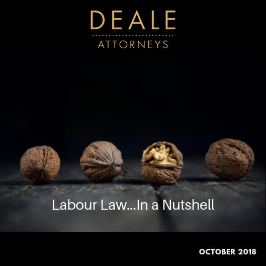 TRUST AT THE TOP:  Can a Board of Directors skip the disciplinary procedure and use a fast-track procedure to dismiss a CEO when they believe the trust relationship has broken down?