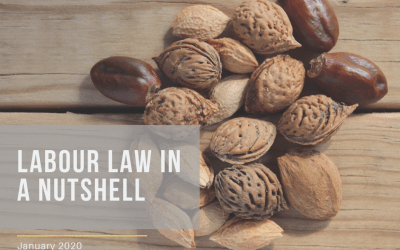 Labour Law in a Nutshell January 2020