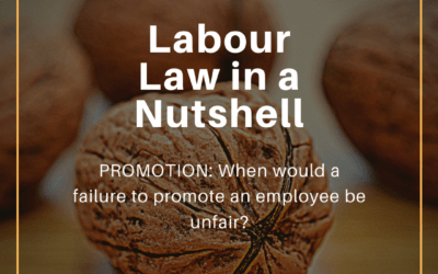 Labour Law in a Nutshell February 2020
