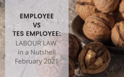 EMPLOYEE VS  TES EMPLOYEE: LABOUR LAW  in a Nutshell February 2021
