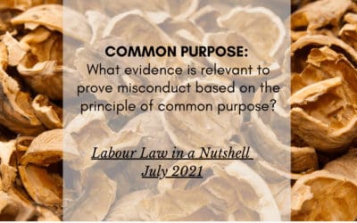 LABOUR LAW in a Nutshell July 2021