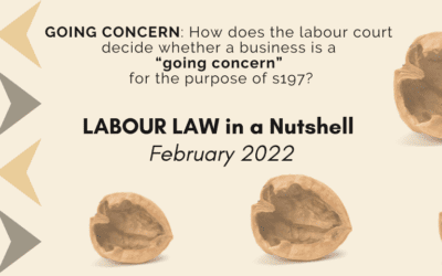 GOING CONCERN: How does the labour court decide whether a business is a “going concern” for the purpose of s197?