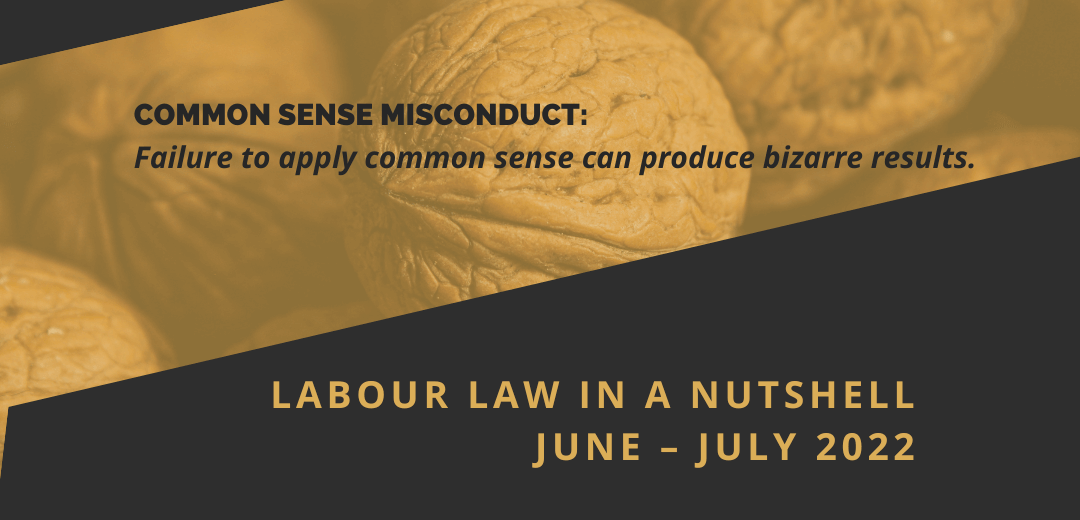 LABOUR LAW in a Nutshell June – July 2022 - COMMON SENSE MISCONDUCT: Failure to apply common sense can produce bizarre results.