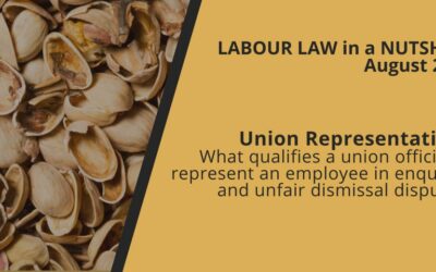 Union Representation: What qualifies a union official to represent an employee in enquiries and unfair dismissal disputes?